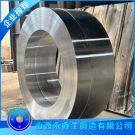 環星輪鍛件（環） 