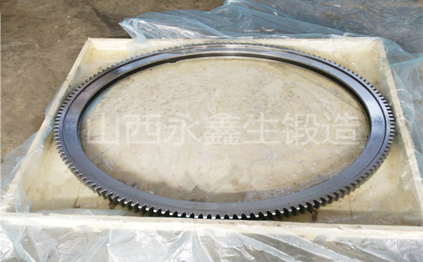 環形鍛件回轉支承圈